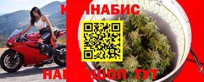 ПСИЛОЦИБИНОВЫЕ ГРИБЫ Пугачёв
