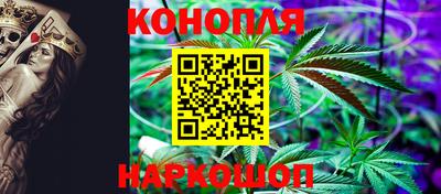 индика Пушкино