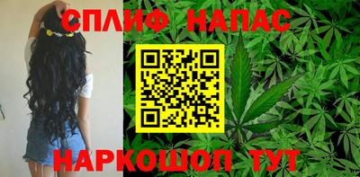 индика Пушкино