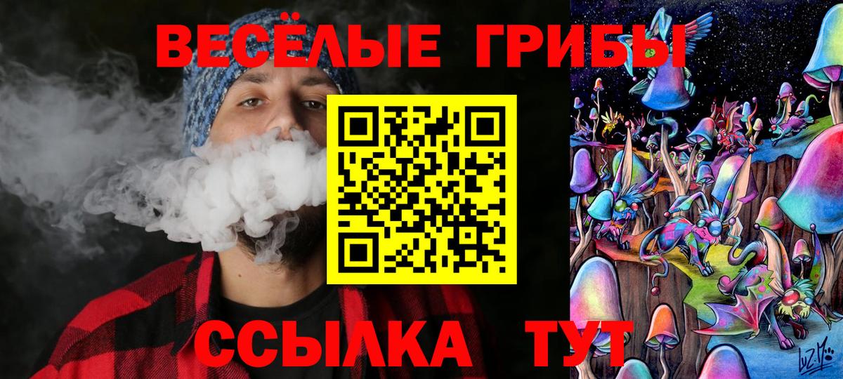Реутов  Псилоцибиновые грибы Cubensis  Вход с VPN 
